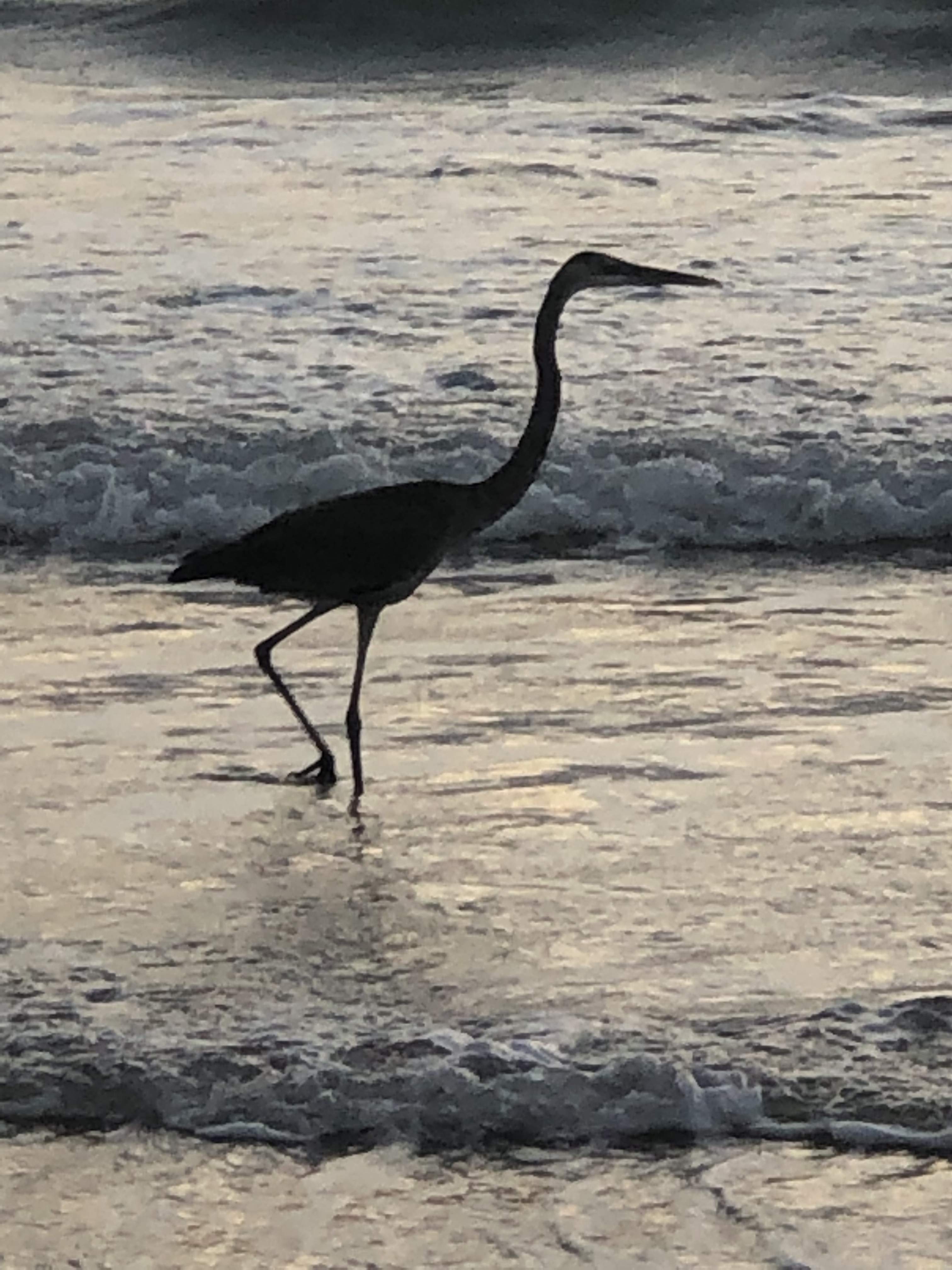 Stories that feed the soul